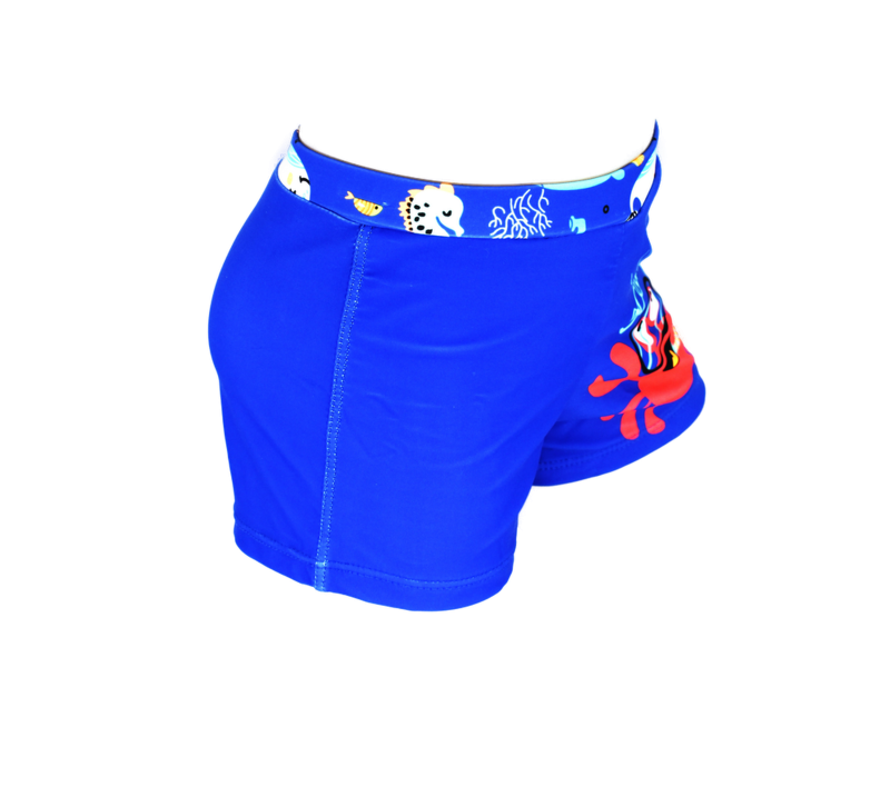 Παιδικό Μαγιό Σλιπ για Αγόρι  κ. Y66663 BLUE - Image 3